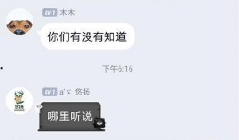 主播圈内人爆料怎么办啊,主播爆料背后的真相解析